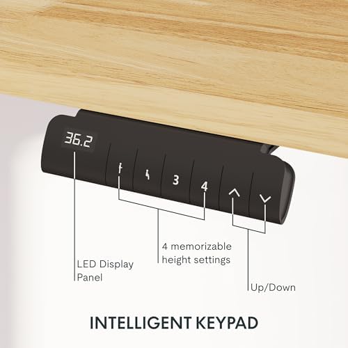 FlexiSpot E6 Solid Wood 3-Stage Dual Motor 63 x 24 Electric Standing Desk, Holds 220 lbs, Adjustable Height w/ Memory Presets, Butcher Block Rubberwood Desktop & Black Frame, Ships in 2 Boxes - Image 3