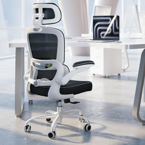 TRALT Ergonomic Office Chair Desk Chair with Adjustable Lumbar Support by TRALT