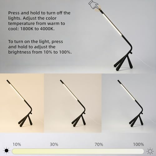 LED Creative Desk Lamp with USB Tybe-c Stepless Dimmable Eye Caring Desk Light for Home Office Bedroom Bedside College Dorm, Reading Lamp,Decorative Gift Table Lamp Black - Image 2