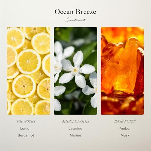 Scentiment Amalfi Coast Diffuser Oil - Fragrance Oil - 0.68 fl oz (20 mL) - Image 3