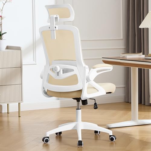 Ergonomic Office Chair, Mesh Desk Chair with Adjustable Lumbar Support by FizzinOfficeChair