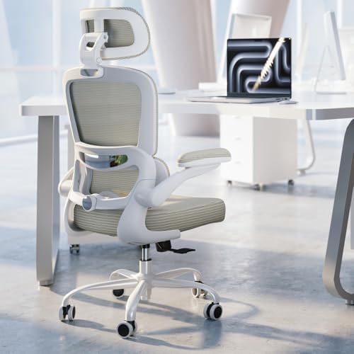 TRALT Ergonomic Office Chair Desk Chair with Adjustable Lumbar Support by TRALT