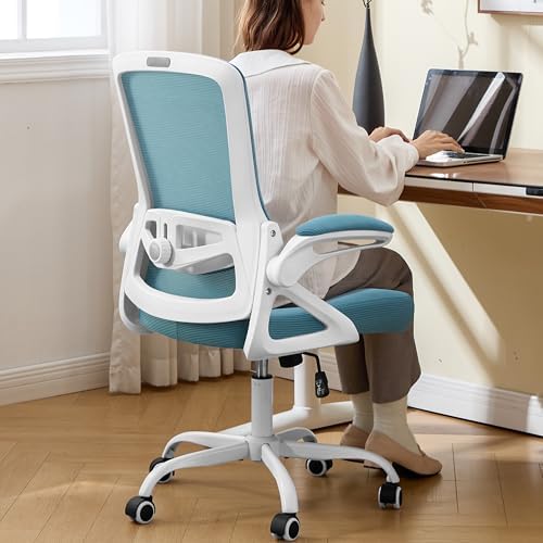 Ergonomic Office Chair Desk Chair with Adjustable Lumbar Support by NexthroOfficeChair