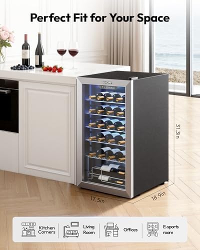 EUHOMY 25 bottle Wine Cooler Refrigerator, Wine Fridge Glass Door, Silver - Image 6