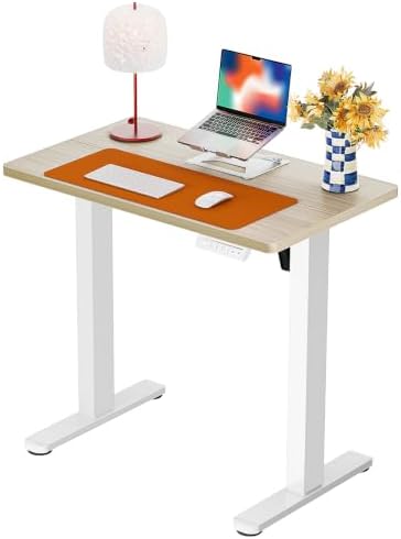 ErGear Height Adjustable Electric Standing Desk, 32 x 19 Inches Sit Stand up Desk, Memory Computer Home Office Desk, Natural by ErGear