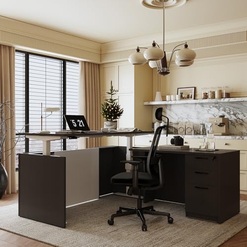 Adjustable Height Executive Standing Desk | Dual Motor Electric Sit-Stand Workstation with 4 Memory Handsetctric Sit-Stand Desk with Lockable Storage (1, L-Shape- Khalba Oak) by ALFABUSINESS