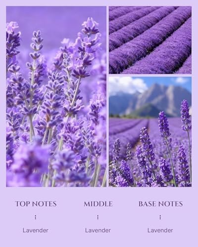 Aromadd Lavender Diffuser Oil Inspired by Classic Botanical Gardens, 200 mL - Image 2