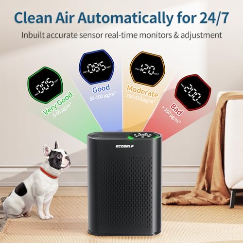 Air Purifier for Large Room, Cleans 2,400 ft² in 30 Mins True HEPA Filter Space Gray - Image 2