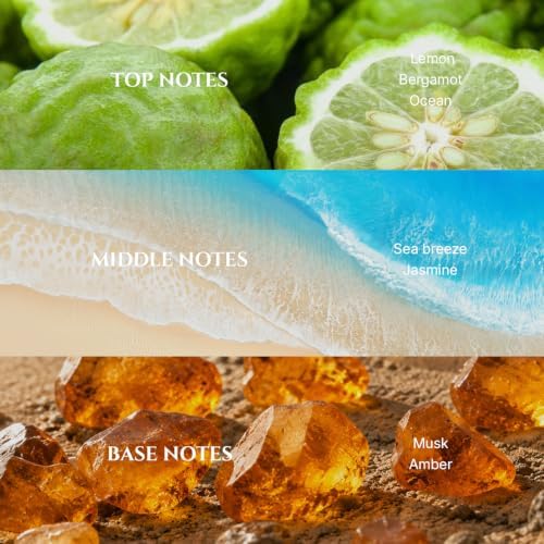 AROMADD Bergamot Diffuser Oil Inspired by Luxury Hotel Scent, 100 mL - Image 2