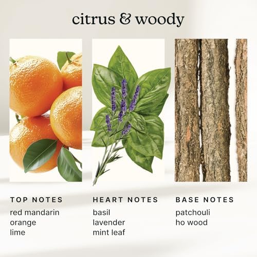 Homedics SereneScent Waterless Diffuser Oil Refill — Mandarin Basil (120ml) - Image 3