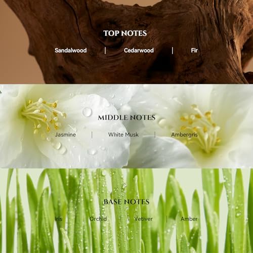 Vanilla Silk Diffuser Oil Inspired by Baccarat Luxury Hotel Scent, 200 mL - Image 2