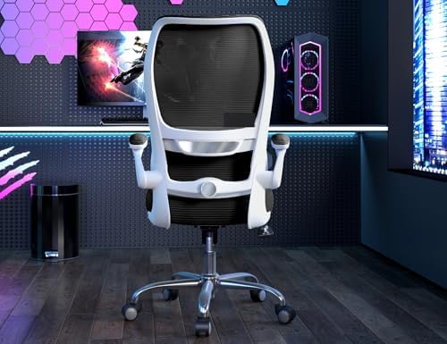 TRALT High Back Office Chair, Ergonomic Desk Chair by TRALT