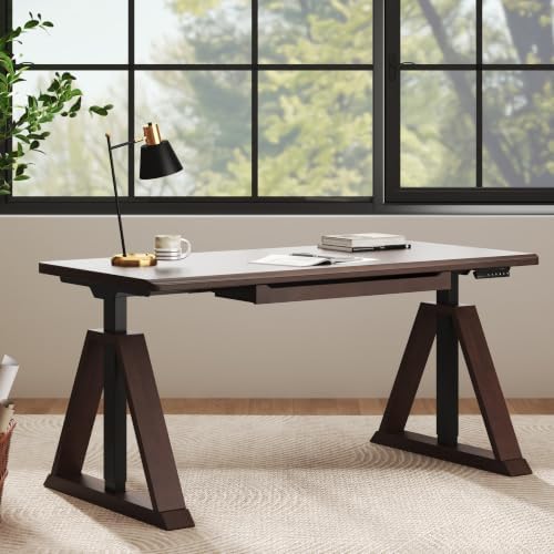 FLEXISPOT 63" WoodiX Solid Wood Executive Standing Desk with Drawer, Walnut by Unknown