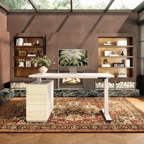 FLEXISPOT EN2 55"x28" Standing Desk Bundle with Storage Cabinet, White - Image 2