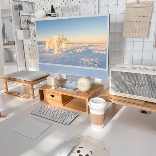 Dual Monitor Stand Riser with Drawer for Desk Laptop by Rocdeer