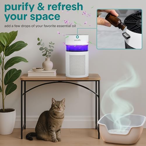 SereneLife Portable Air Purifier - Small Air Purifier with Aroma Box & Ambient Light, High Filtration Efficiency, 2-Speed, Timer & Sleep Mode, Filter Change Reminder, 6 x 6 x 12 in. (White) - Image 4