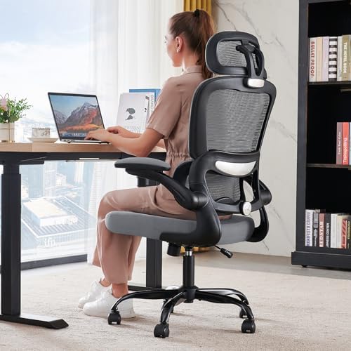 TRALT Office Chair Ergonomic Desk Chair - Gaming Chair with Lumbar Support (1,Dark Grey) by TRALT