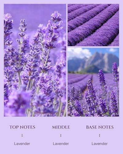 Aromadd Lavender Diffuser Oil Inspired by Classic Botanical Gardens, 100 mL - Image 3