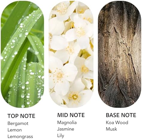 Luxury Hotel Scent Diffuser Oil 24K Aura 500ml Lemongrass Fragrance Oil - Image 2