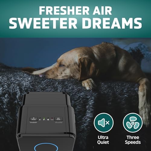GermGuardian 5-In-1 HEPA Air Purifier for Home, Pet Air Purifier with HEPA Air Filter & UV-C Light, AC4300BPTCA, 743 Sq. Ft., 22'' Tower, Black - Image 3