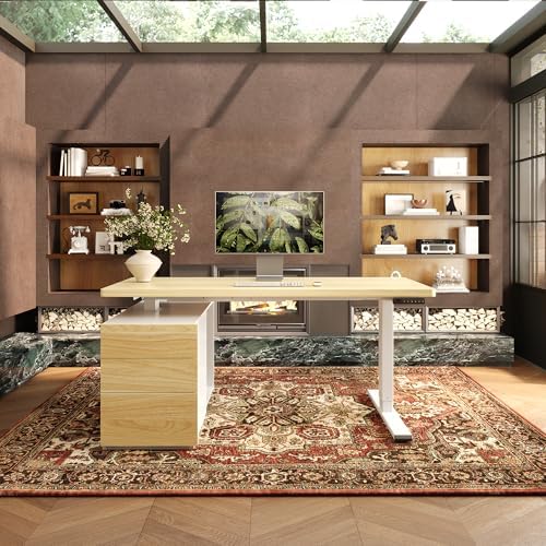 FLEXISPOT 55" Executive Standing Desk with Drawers & CPU Cabinet by Unknown