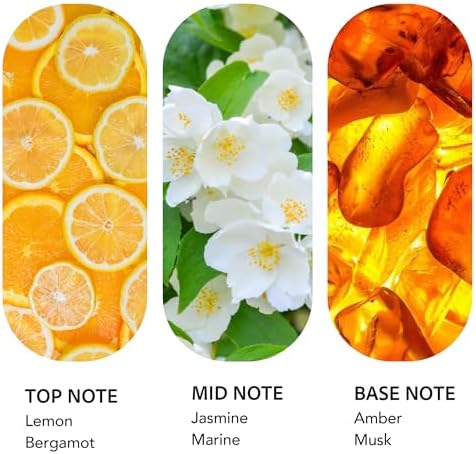 Luxury Hotel Scent Ritz Carlton Diffuser Oil 500ml/16.9Fl Oz - Image 2