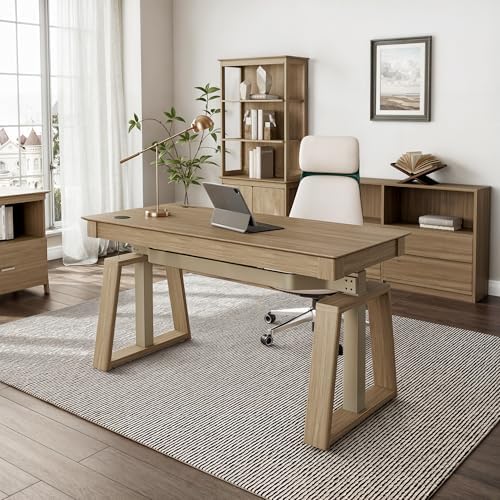 EUREKA ERGONOMIC Standing Desk,60x26 Executive Desk with 3 Drawer Adjustable Height Electric Desk Home Office Computer Desk Modern Workstation with Memory Controller by EUREKAERGONOMIC