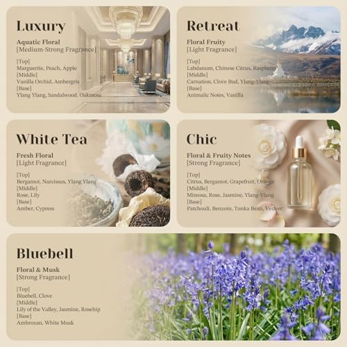 Waterless Essential Oil Diffuser, 4.06fl oz(120ml) Portable Battery Operated Cold Air Aroma Scent Machine, 4 Intensity Levels, Quiet Diffuser for Bedroom Office Bath Car (White-Retreat1) - Image 3