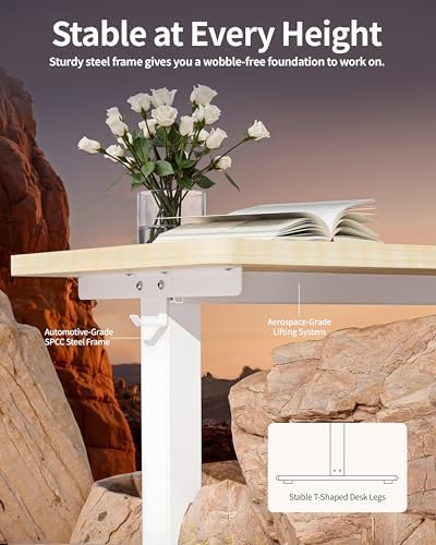 BIZUM Standing Desk Electric Adjustable Computer Desk-Stand up Desk Office Gaming Home Office Memory Desks 48x24 inches Maple - Image 5
