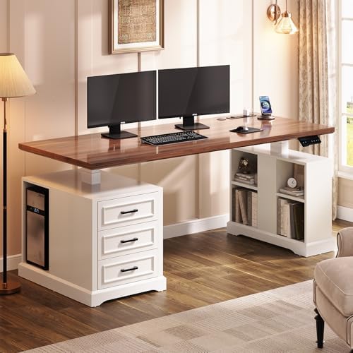 SEDETA 63" Farmhouse Electric Standing Desk with 3 Drawers, Storage Shelves by SEDETA