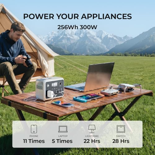 DYNESS Portable Power Station 300W, 256Wh Solar Generator with 110V Pure Sine Wave AC Outlet, LiFePO4 Battery for Camping, Home Backup, RV, Outdoor Emergency (Solar Panel Optional) - Image 3