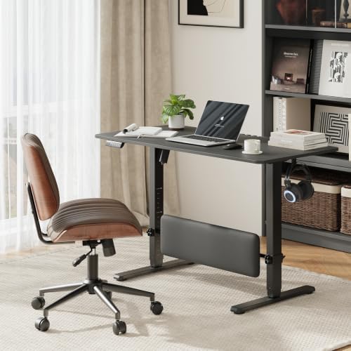 MALOL 47" x 24" Height Adjustable Electric Standing Desk, Black by MALOL
