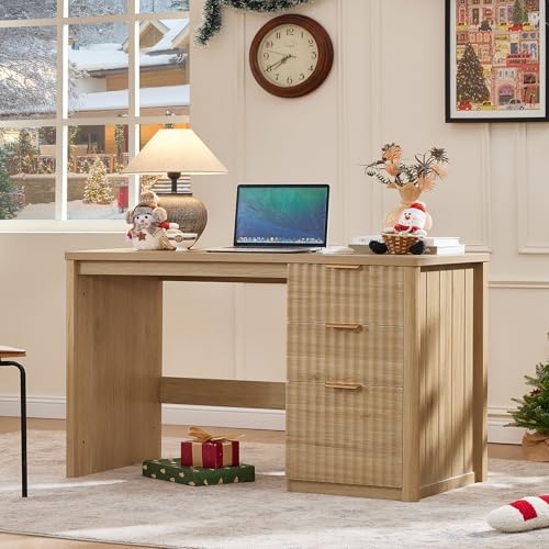 LEYAOYAO Office Desk 48" with 3 Drawers Storage File Cabinet - Image 3