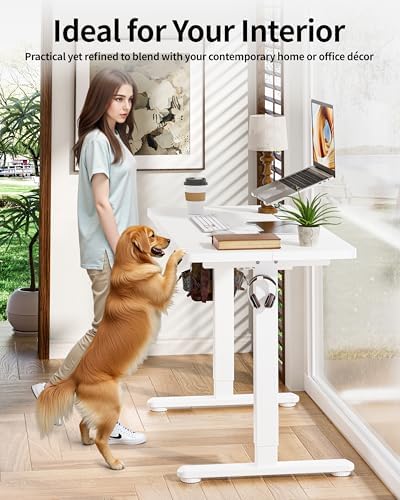 BIZUM Standing Desk Electric Adjustable Computer Desk-Stand up Desk Office Gaming Home Office Memory Desks 48x24 inches White - Image 6