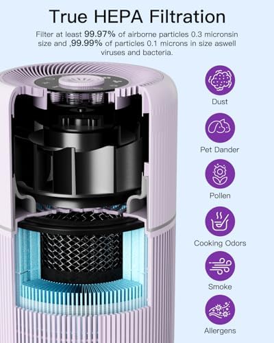2 Pack Air Purifier for Home Bedroom with H13 True HEPA Filter for Smoke, Smokers, Dust, Odors, Pollen, Pet Dander | Quiet 99.9% Removal to 0.1 Microns | Purple Available for California - Image 5
