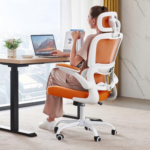 TRALT Office Chair Ergonomic Desk Chair - Gaming Chair with Lumbar Support by TRALT