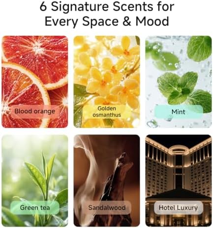 Small Waterless Essential Oil Aromatherapy Diffuser Set for Car & Home - Image 3