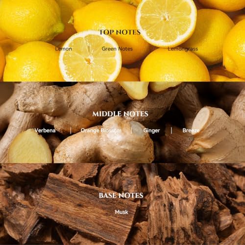 AROMADD 24K Celestia Diffuser Oil Inspired by W Hotel Luxury Scent, 500 mL - Image 2