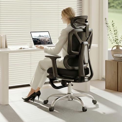 FLEXISPOT ErgoX Premium Ergonomic Office Chair Black FM-FT by FlexiSpot