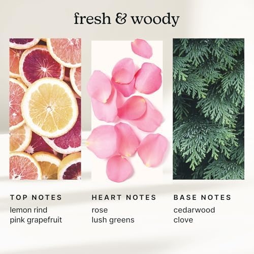 Homedics SereneScent Waterless Diffuser Oil Refill — Tokyo Tea (120ml) - Image 3
