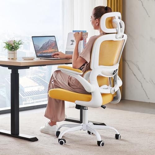 TRALT Office Chair Ergonomic Desk Chair - Gaming Chair with Lumbar Support by TRALT