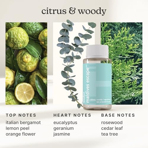 Homedics SereneScent Waterless Home Fragrance Diffuser & Oils Set - Image 3