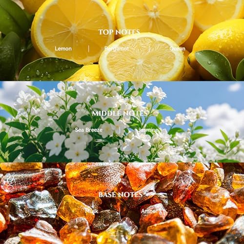 Bergamot Coastal Diffuser Oil Inspired by Ritz-C Hotel Scent, 100 mL - Image 2