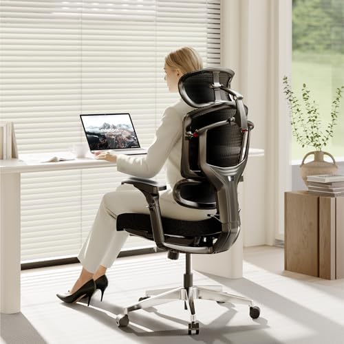 FLEXISPOT ErgoX PRO Premium Ergonomic Office Chair Soft Black-FT by Unknown