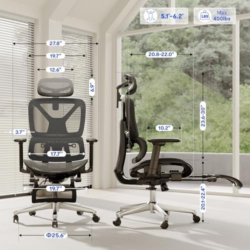 FLEXISPOT ErgoX Premium Ergonomic Office Chair Dark Grey-FT - Image 2