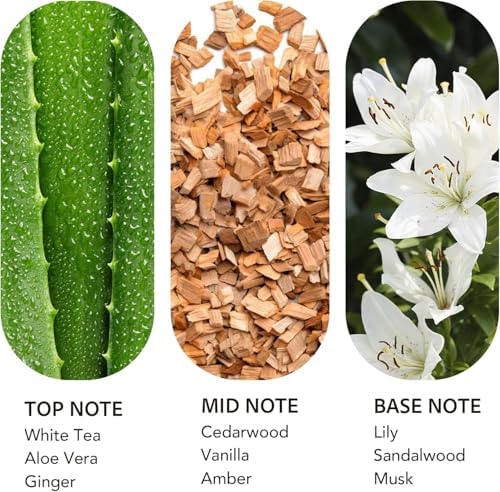 Luxury Hotel Scent Dream On Diffuser Oil, White Tea & Lily, 20ml - Image 2