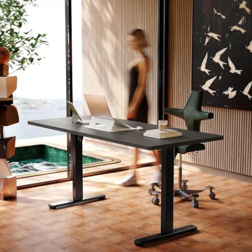 HUANUO 63x28 Inch Electric Standing Desk, Height Adjustable, Grey by HUANUO