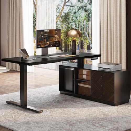 FLEXISPOT 55" Executive Standing Desk with File Cabinet, Black by Unknown