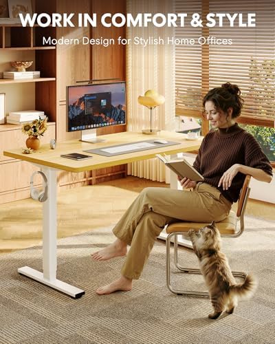 FLEXISPOT EN1 40"x24" One-Piece Standing Desk, Maple - Image 4