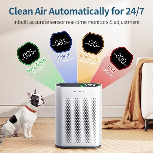 Air Purifier for Large Room, Cleans 2,400 ft² in 30 Mins, 3-Stage True HEPA, 360° Airflow, Large Touch Display Control, Real-Time Air Quality (PM2.5) Display, Ultra-Quiet 20dB Sleep Mode, HAP602 White - Image 2